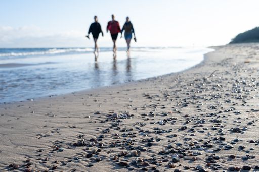 Three people of different ages walking along a pristine sandy beach, with a shoreline littered with shells and the vast ocean