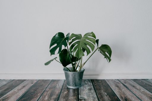 A shot of an artificial houseplant in a metal bucket