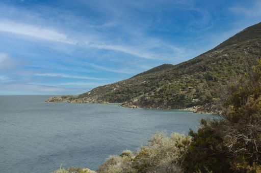 A high angle shot of landscape and flora of the island of Giglio Grosseto Italy
