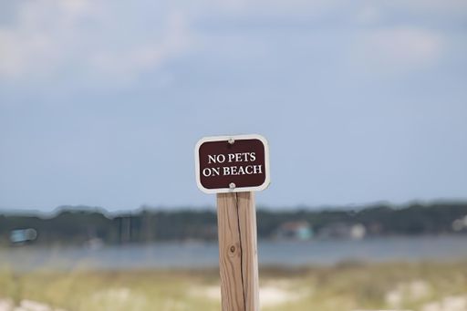 No pets on beach sign