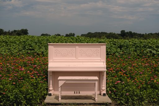 A pink piano sits in a scenic outdoor field, surrounded by lush greenery