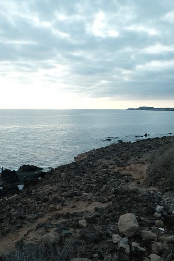 A scenic view of a rocky beach shoreline with lush grass and the peaceful backdrop of the ocean