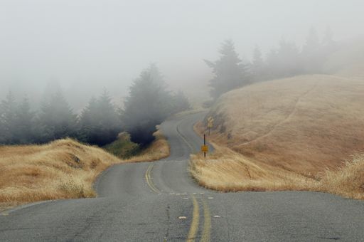 A road surrounded by a field covered in greenery and fog under a cloudy sky