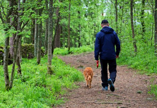 A guy in sportswear walking his dog in a park