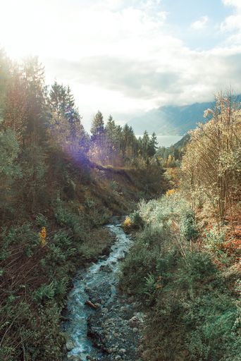 A vertical shot of a river flowing through the forest in Switzerland