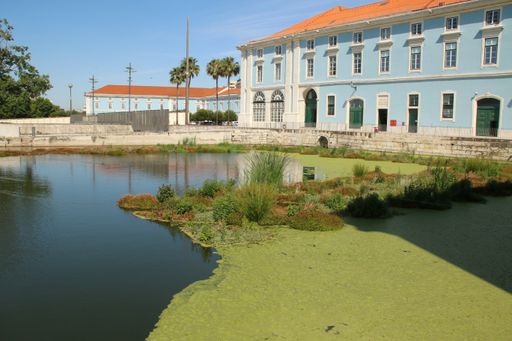A mossy lake in front of a building with blue exterior