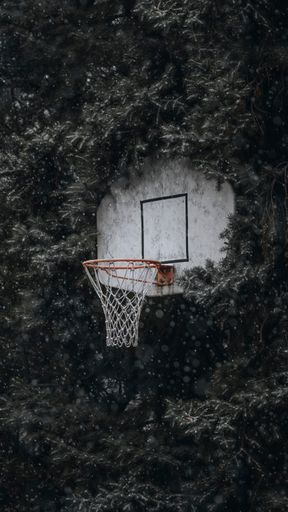 A basketball hoop standing in a winter landscape, with snowflakes falling and a snowy forest in the background