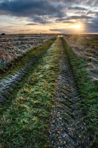 A vertical shot of a beautiful field road with scenery of sunset in a cloudy sky