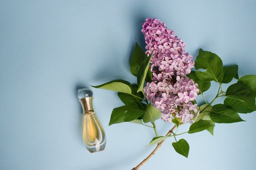 Dior perfume on the light blue background with flowers and leaves. Beautiful design and feminine fragrance for women.