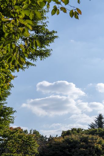 A vertical shot of a green park under blue cloudy sky