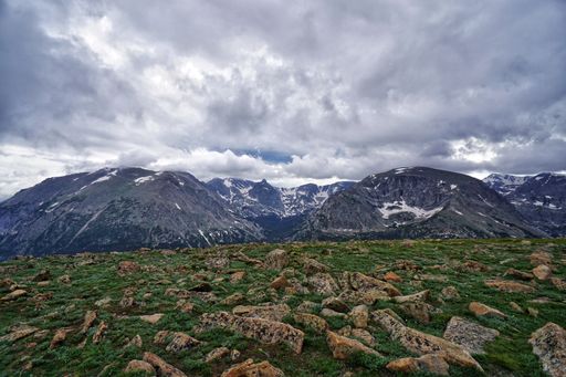An outdoor landscape featuring a rocky field with clusters of rocks and bushes set against a cloudy sky