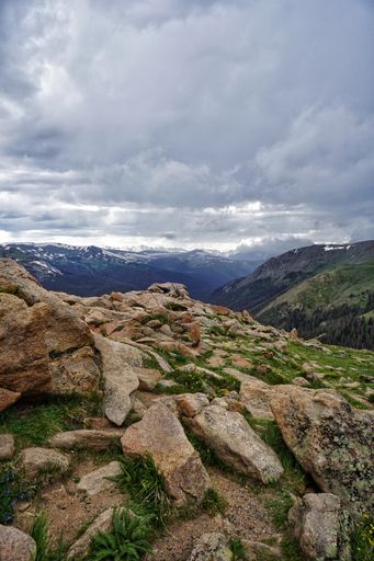 Idyllic landscape of the rocky mountains featuring a picturesque foreground of large rocks and lush grass filled with vibrant wildflowers