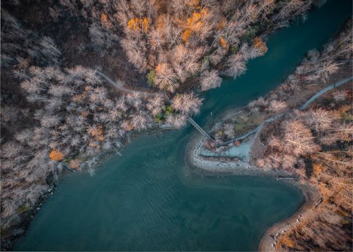 An aerial top down shot of the forest area in the winter season with a creek and a wooden bridge in the middle of North Vancouver coastline, Canada