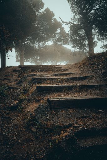 A vertical shot of old stone stairs in a park on a foggy day in autumn