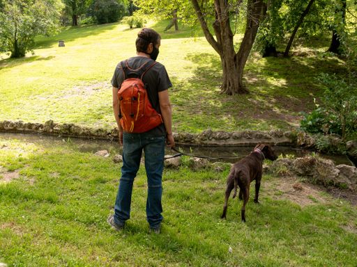 A rear view of a young male in a black mask walking in the park with his dog