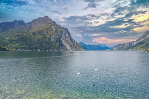 An aerial view of swans in Como lake in Italy, view from Lecco, with mountains at sunset