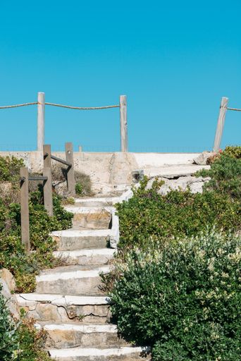 A vertical shot of white stairs in nature on a sunny day