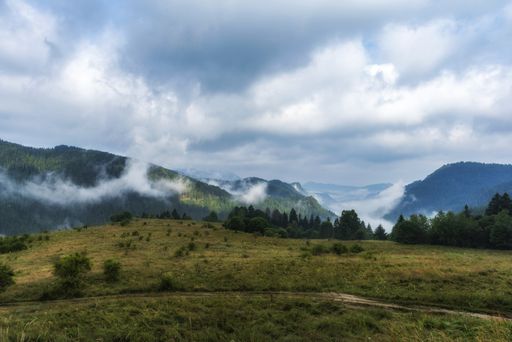 A beautiful shot of the valley covered in plants and trees