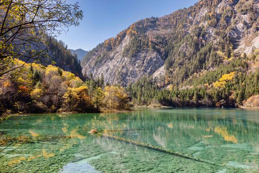 A scenic mountain lake in the fall, surrounded by yellow-leaved trees and foliage