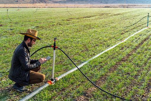 A farmer checking information on agricultural produce with his tablet, in the field