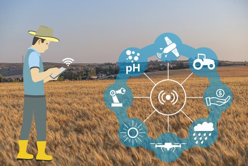 A production with modern farming technologies, a farmer doing agricultural jobs by mobile phone, wheat farm background