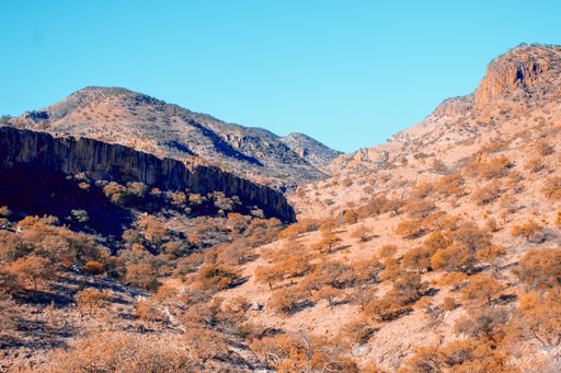 A beautiful shot of dry hillsides with trees under a blue sky