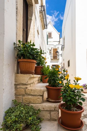 A vertical shot of pots with beautiful yellow flowers on the stairs in Locorotondo, Apulia, Italy