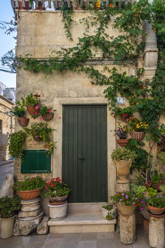 A vertical shot of beautiful flowers in pots outside a building in the Monopoli historic center, Apulia, Italy