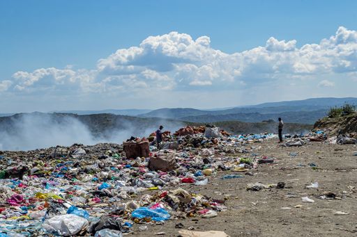 Two men sorting garbage for recycling in a dumping ground of food and plastic wastes on summer heat