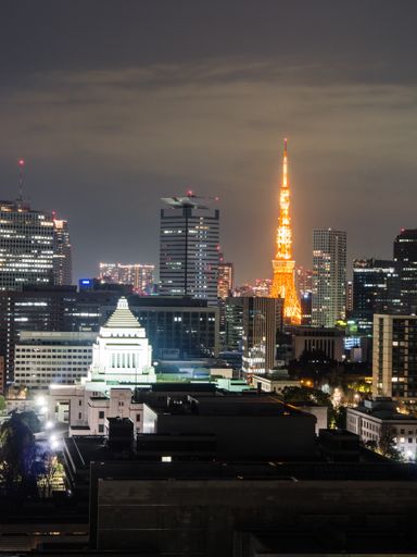 A beautiful scenery of the Tokyo skyline in Japan