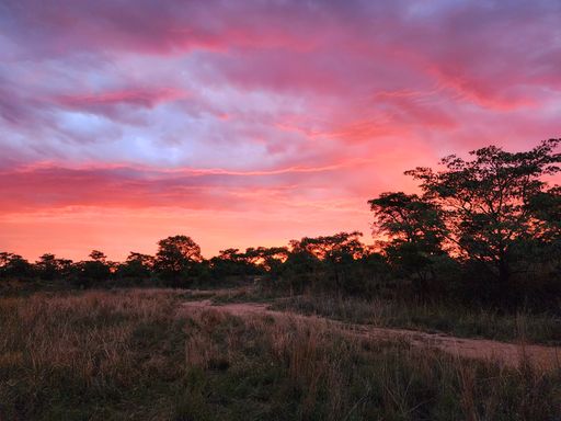 A mesmerizing sunset paints the sky in a gradient of pink and blue hues, illuminating the picturesque grassy landscape below