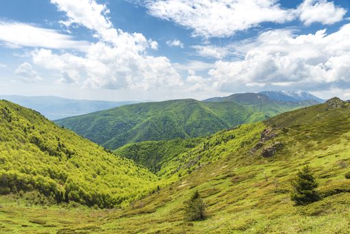 A landscape of hills covered in greenery under the sunlight and a cloudy sky