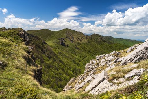 A landscape of rocks covered in greenery under the sunlight and a cloudy sky at daytime