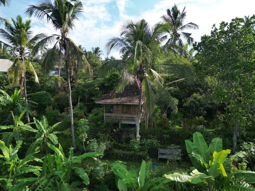 An aerial view of a treehouse nestled among the lush foliage of a tropical rainforest in Bali,Indonesia