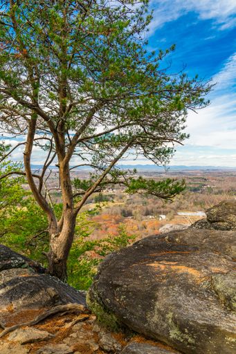 An aerial view of a majestic pine tree perched atop a rugged mountain range