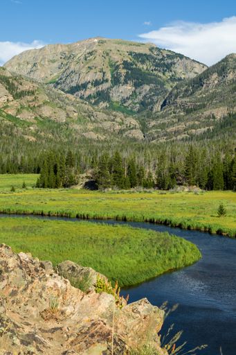 A serene view of a lush green grassy field in a picturesque river valley with dense forestry in the background