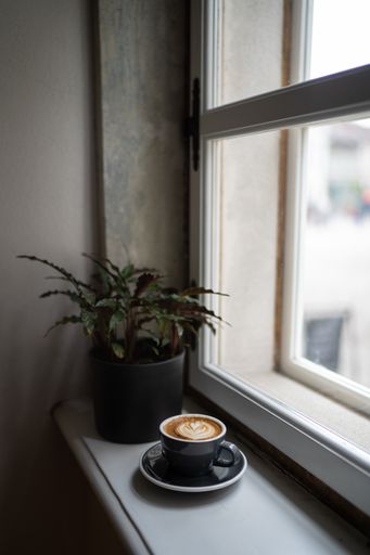 A vertical shot of a morning milky coffee and a houseplant on a windowsil
