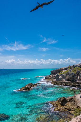 A vertical shot of a seagull flying over the Caribbean sea in Mexico