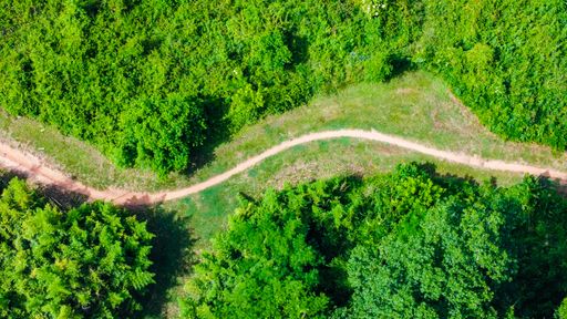 A top view shot of a trail surrounded by trees in a forest