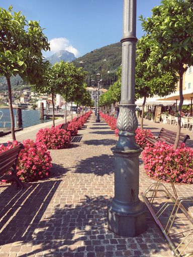A vertical shot of a beautiful sidewalk decorated with pink flowers near the sea surrounded by high green mountains