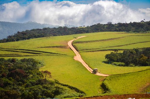 An idyllic dirt road winds its way through the rolling green hills.
