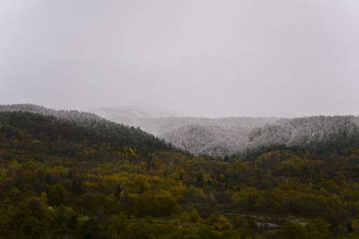 A landscape of hills covered in greenery and fog under the cloudy sky