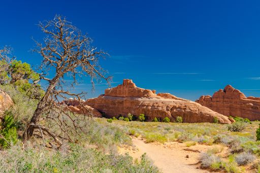 A Desert view in Arches National Park, Utah