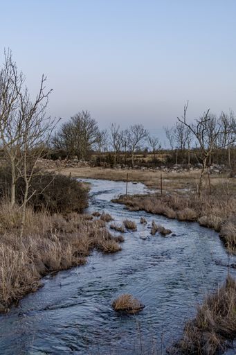 A vertical shot of beautiful stream water with a clear sky in the background