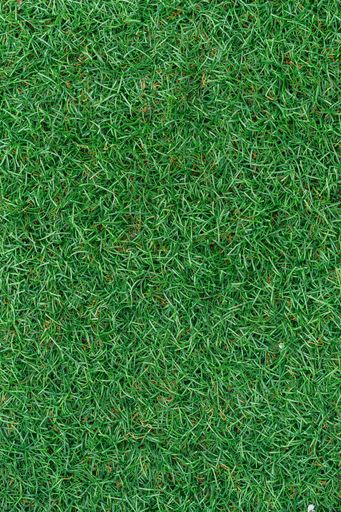 A closeup of luscious green grass background