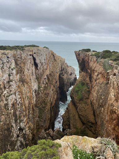 A vertical shot of nature on the coast of Lagos, Algarve, Portugal