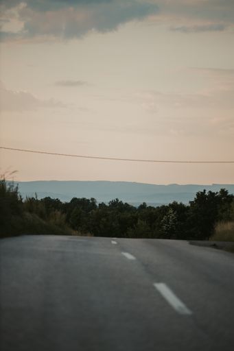 A vertical shot of an empty road surrounded by trees