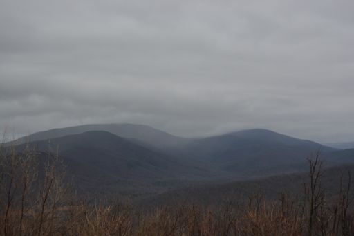 A wide angle shot of mountains and trees on a foggy day