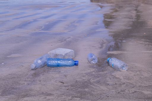 The plastic bottle waste on the beach - environmental pollution concept