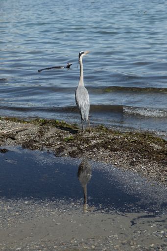 A lakeside hero on the shores of Lake Geneva